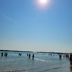 Sabbia D'oro