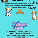 Hotel Sabbia D'oro 2*