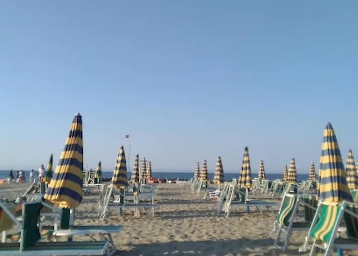 Sabbia D'oro 2*