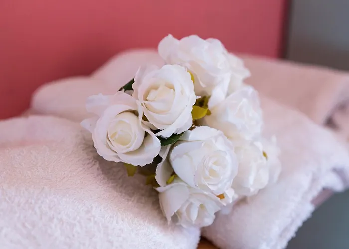 Sabbia D'oro Hotel Rimini